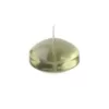 Zest Candle 1.75 in. Clear Sage Green Gel Floating Candles (Box of 12)